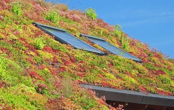 Elsham living roof systems